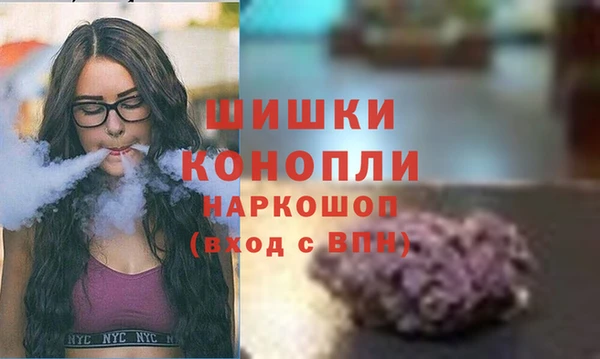 твердый Вяземский