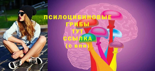 СК Вязники