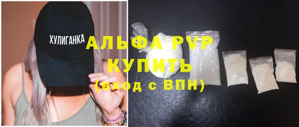 твердый Вяземский