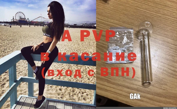 твердый Вяземский