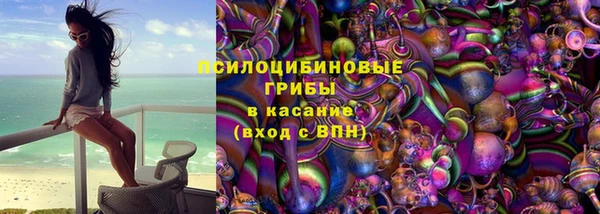 твердый Вяземский