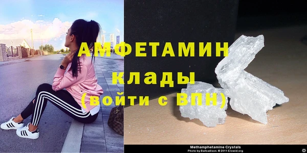 твердый Вяземский