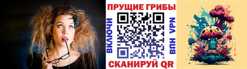 Псилоцибиновые грибы прущие грибы  MEGA зеркало  Чкаловск 